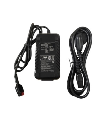 Cargador Original Teyder Power Pack Plus