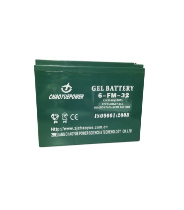 PAR de baterías CHAOYUEPOWER 32AH 6-FM-32 Libercar Cruiser