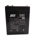 PAR de baterías DSK 10381 12V 2.9Ah