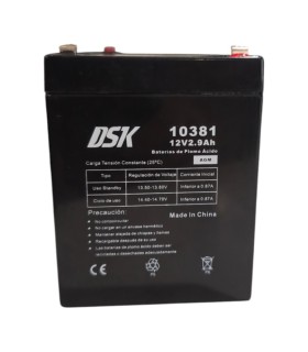 PAR de baterías DSK 10381 12V 2.9Ah