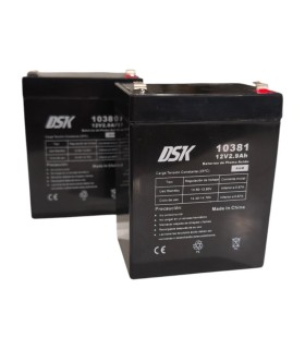PAR de baterías DSK 10381 12V 2.9Ah