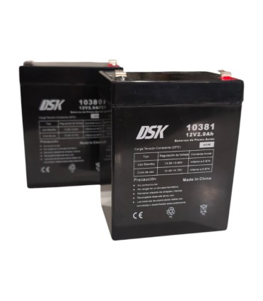 PAR de baterías DSK 10381 12V 2.9Ah