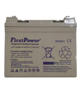PAR de baterías FirstPower LFP1236G 12v 36Ah
