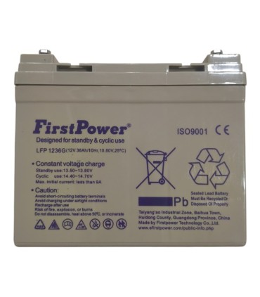 PAR de baterías FirstPower LFP1236G 12v 36Ah