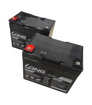 PAR de baterías LONG LG36-12N 12v 36Ah