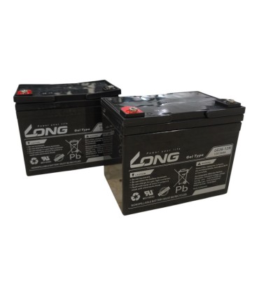 PAR de baterías LONG LG36-12N 12v 36Ah