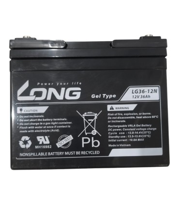 PAR de baterías LONG LG36-12N 12v 36Ah