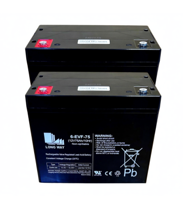 PAR de baterías LongWay 6-EVF-75 12v 75Ah