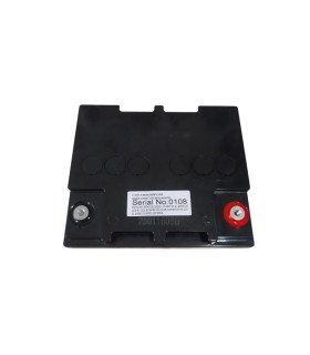 PAR de Baterías LongWay 6-EVF-55 12V 55Ah