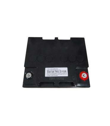 PAR de Baterías LongWay 6-EVF-55 12V 55Ah