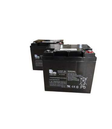 PAR de Baterías LongWay 6-EVF-55 12V 55Ah