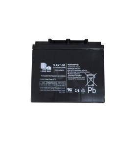 PAR de Baterías LongWay 6-EVF-55 12V 55Ah