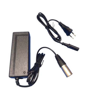 Cargador batería de litio 29,4V 2A silla de ruedas y scooter eléctrico