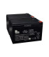 PAR de baterías LongWay 6FM14 12V 14Ah