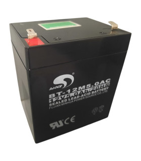 PAR de baterias BAOCE BT-12M5.0AC Fujian Minhua MOTECK