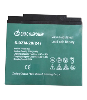 PAR de baterías CHAOYUEPOWER 6-DZM-20 12V 20AH