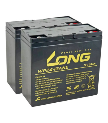 PAR de baterías Long WP24-12ANE 12V 24Ah