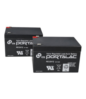 copie de PAR de baterías 6FM14 12V 14Ah LONG WAY