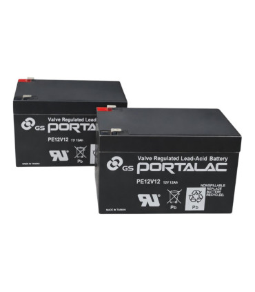 copie de PAR de baterías 6FM14 12V 14Ah LONG WAY