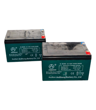 copia di PAR de baterías Long WP14-12-SE 12v 14Ah