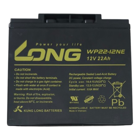 PAR de baterías Long WP22-12NE 12V 22Ah
